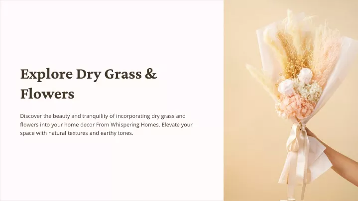 explore dry grass flowers