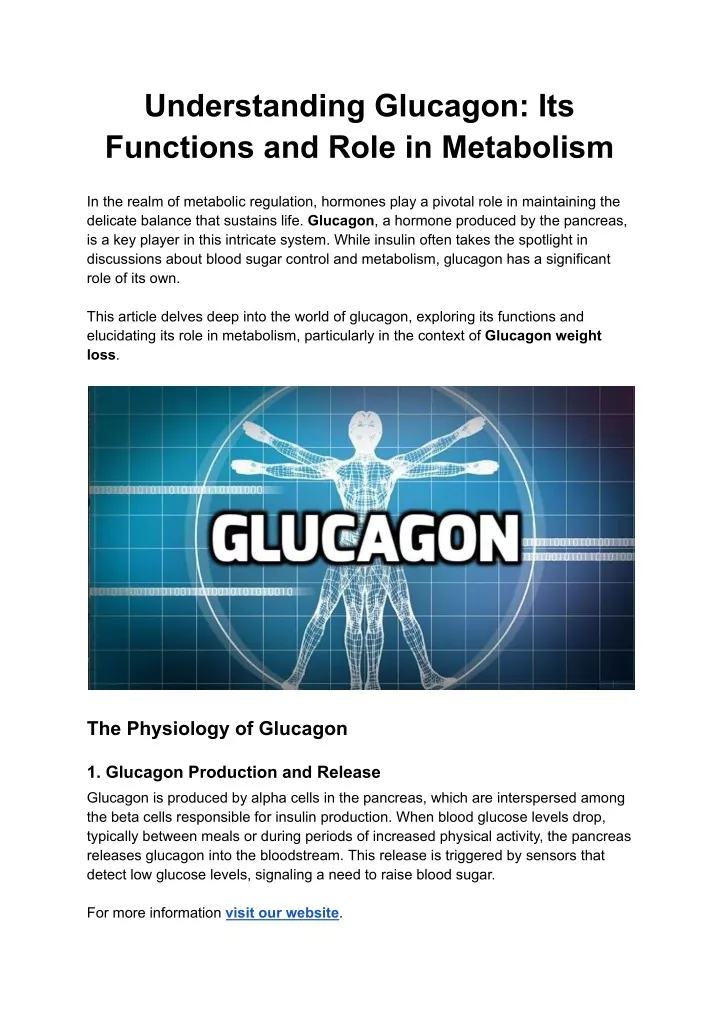 understanding glucagon its functions and role