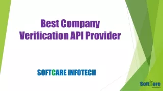 Finest Company Verification API Service Provider Company