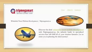 Whitelabel Travel Website Development | Tripmegamart.ae