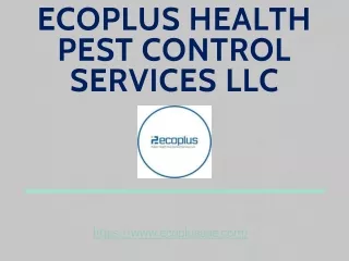 Flies & Mosquito Control