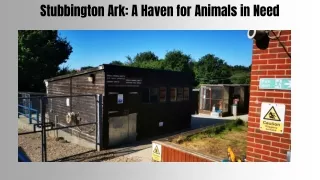 stubbington ark a haven for animals in need