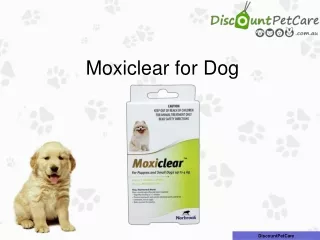Buy Moxiclear for Dogs Online at lowest Price in Australia.