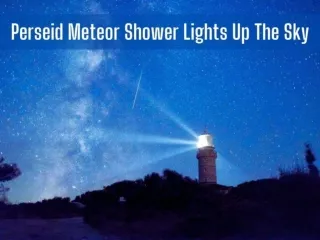 Perseid meteor shower lights up the sky