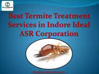 Best Termite Treatment Services in Indore  Ideal ASR Corporation