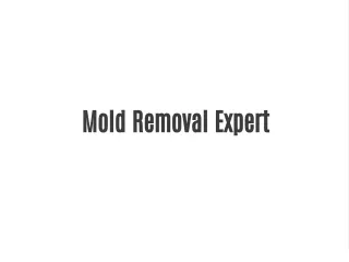Mold Removal Expert
