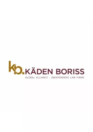 ALLIANCE OF INDEPENDENT LAW FIRMS & ENTERPRISES | Kaden Boriss