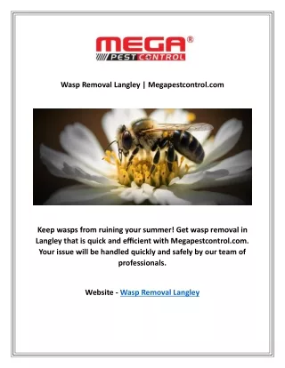 wasp removal langley megapestcontrol com