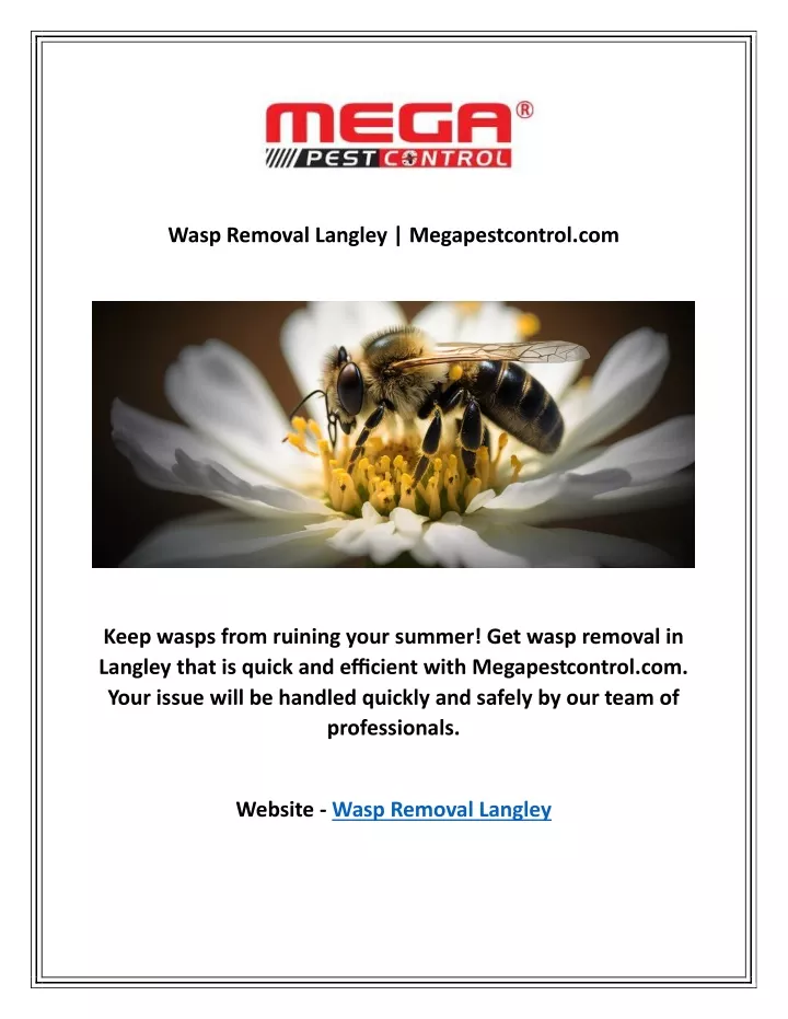 wasp removal langley megapestcontrol com