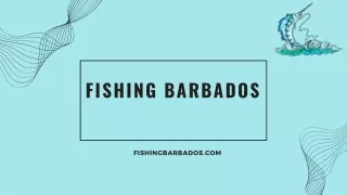 Book the Best Marlin Fishing Charters in Barbados