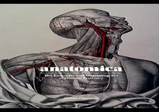 PDF Anatomica: The Exquisite and Unsettling Art of Human Anatomy Android
