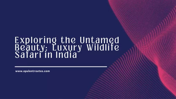 exploring the untamed beauty luxury wildlife