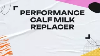 High-Performance Calf Milk Replacer - Statewide Service