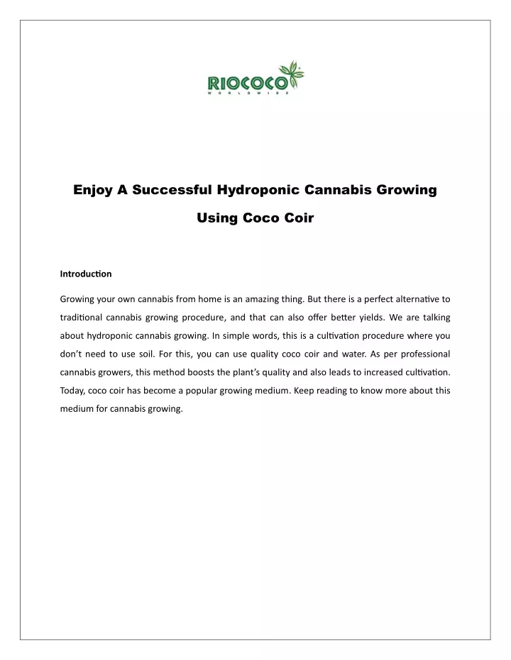 enjoy a successful hydroponic cannabis growing