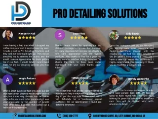 Pro Detailing Solutions