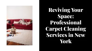 reviving your space professional carpet cleaning services in new york