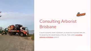 Consulting Arborist Brisbane - Contact us today!