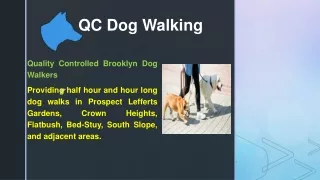Find Affordable Dog Walker In Brooklyn  QC Dog Walking