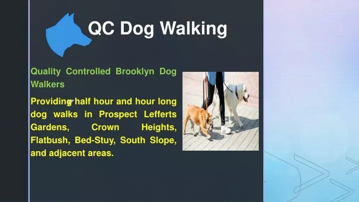 qc dog walking