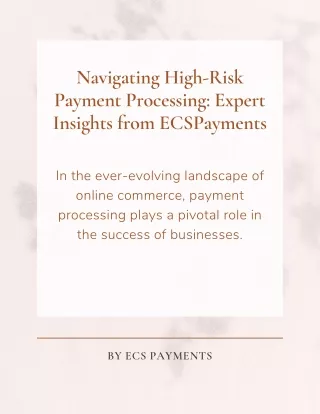 Navigating High-Risk Payment Processing Expert Insights from ECSPayments