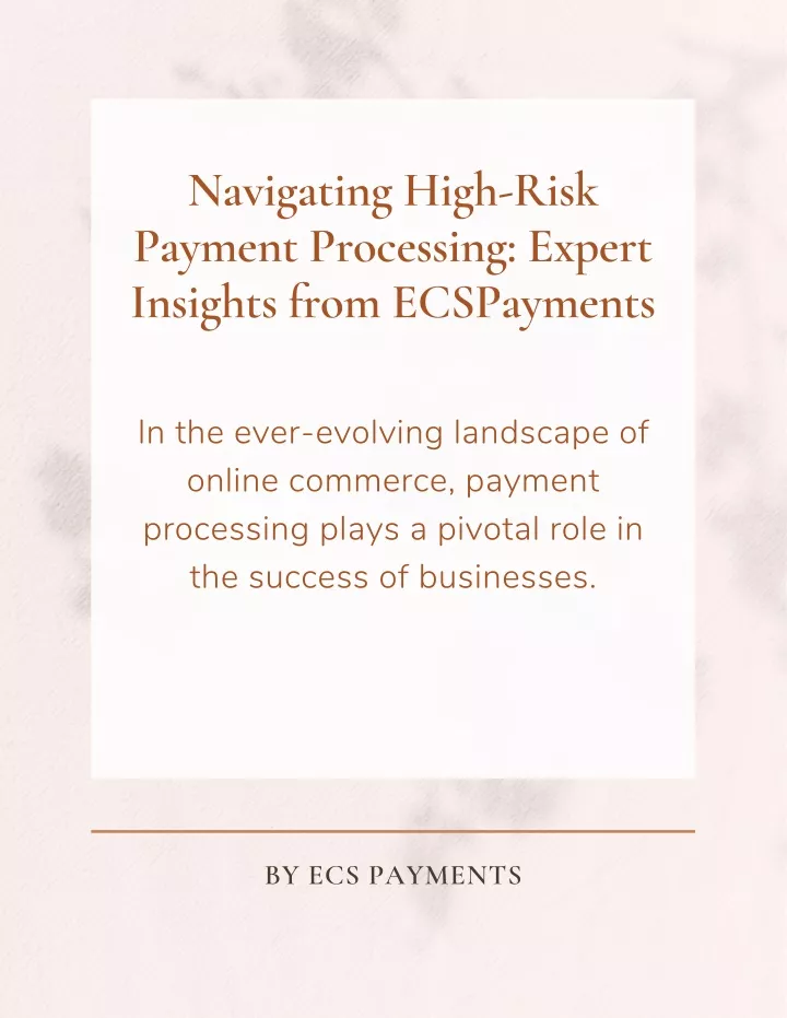 navigating high risk payment processing expert