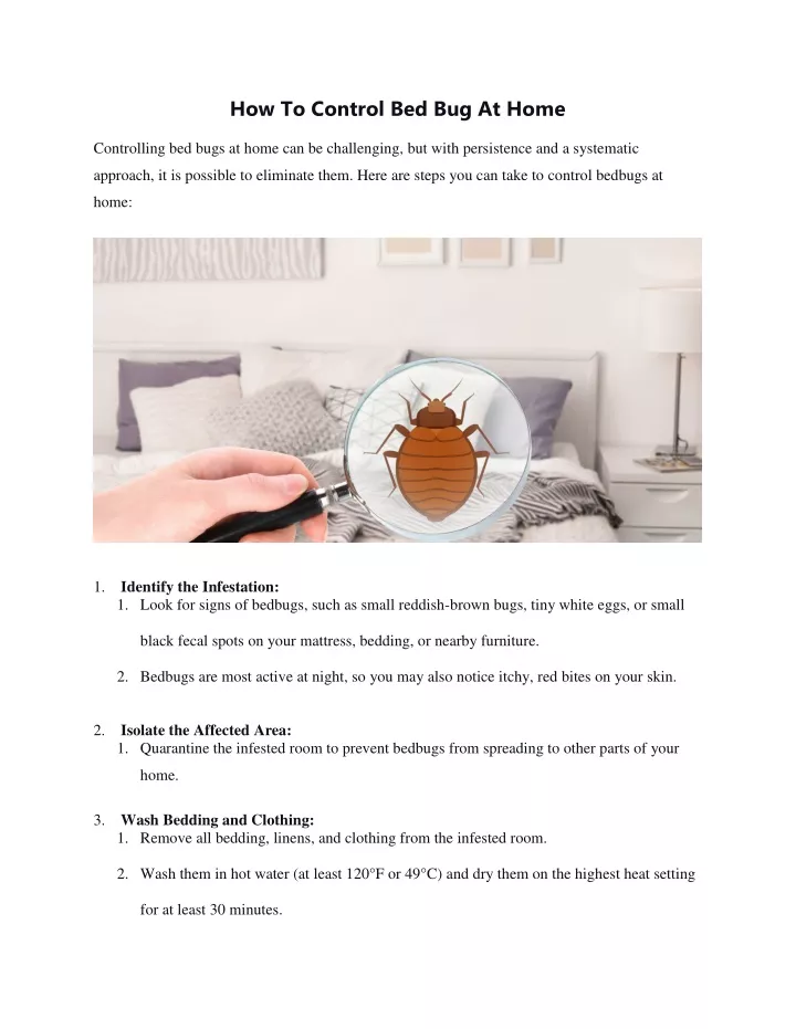 how to control bed bug at home