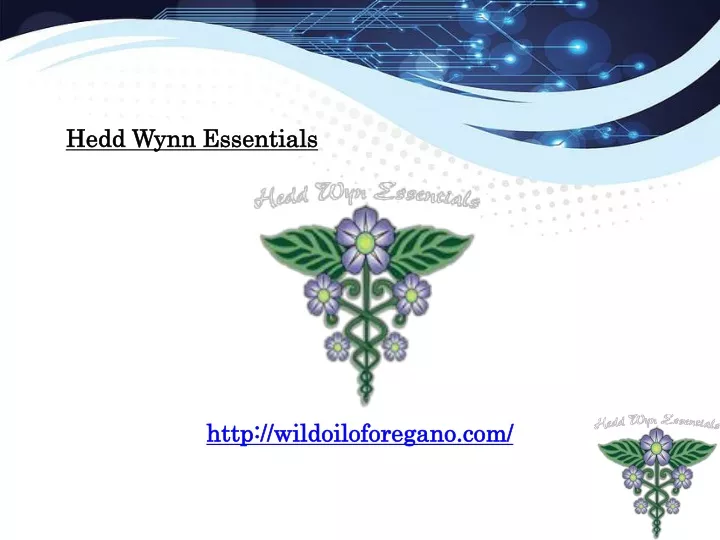 hedd wynn essentials