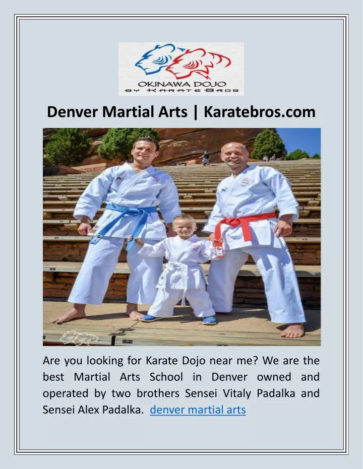 denver martial arts karatebros com