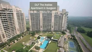 DLF Aralias Rent Gurugram | Apartment in DLF Aralias Gurgaon