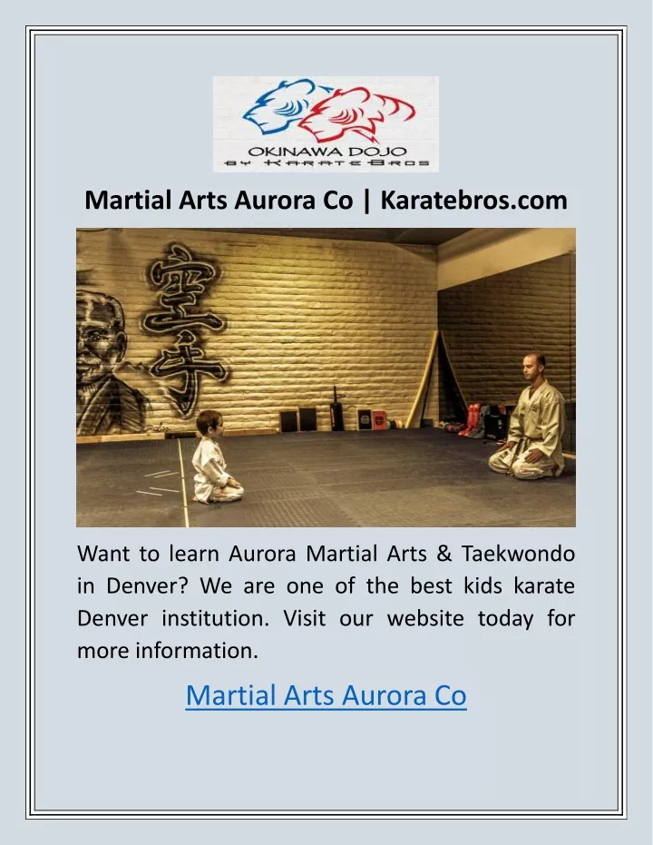 martial arts aurora co karatebros com