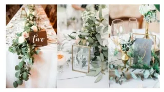 Guiding Love in Style: Unleashing the Magic of Wedding Table Cards