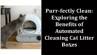 Purr-fectly Clean: Exploring the Benefits of Automated Cleaning Cat Litter Boxes