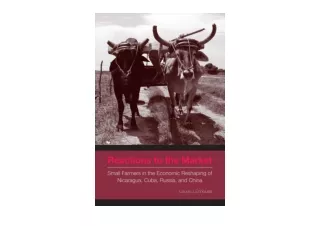 Kindle online PDF Reactions to the Market Small Farmers in the Economic Reshapin