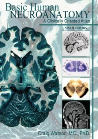 [PDF] DOWNLOAD Basic Human Neuroanatomy: A Clinically Oriented Atlas