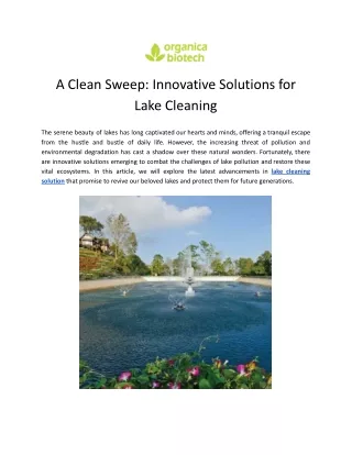 Lake Cleaning Solution
