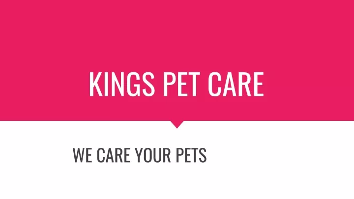 kings pet care