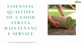 essential qualities of a good strata maintenanc