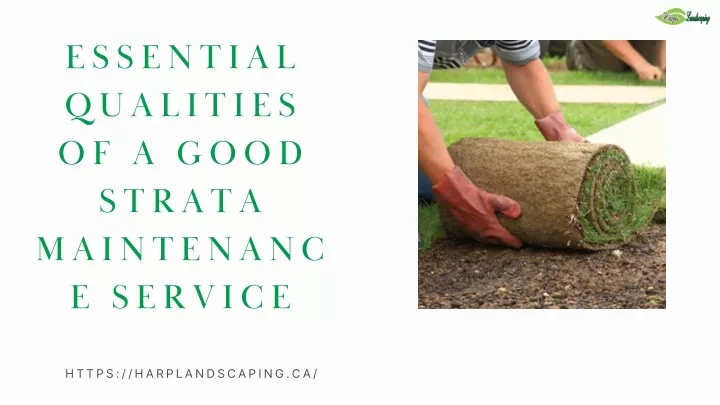 essential qualities of a good strata maintenanc