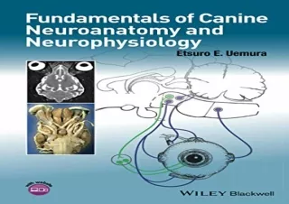 [PDF] Fundamentals of Canine Neuroanatomy and Neurophysiology Android