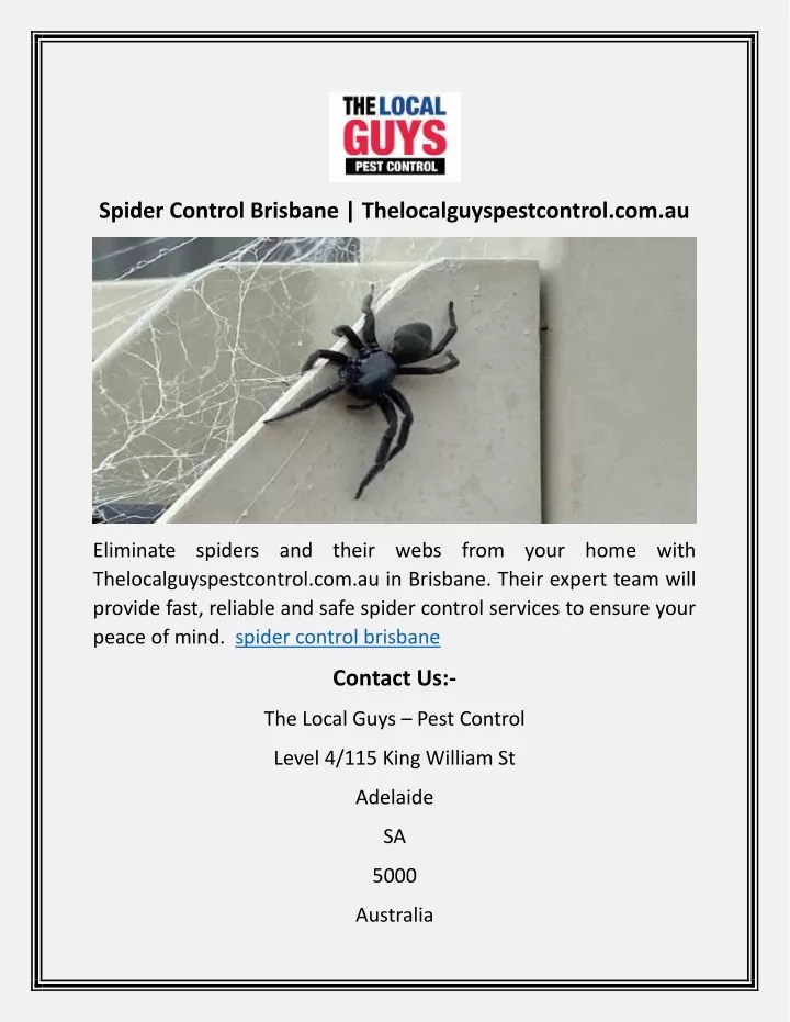 spider control brisbane thelocalguyspestcontrol