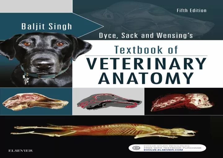 PPT - PDF Dyce, Sack And Wensing's Textbook Of Veterinary Anatomy - E ...