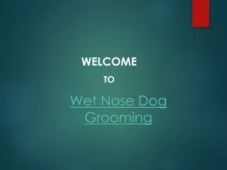 welcome to