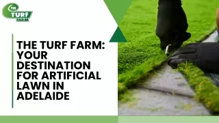 Artificial Lawn Adelaide-The Turf Farm
