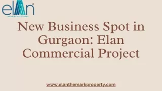 New Business Spot in Gurgaon Elan Commercial Project