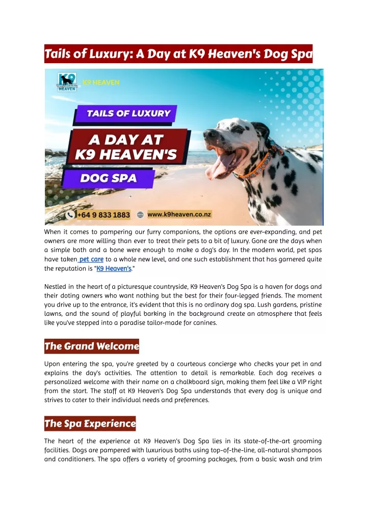 tails of luxury a day at k9 heaven s dog spa
