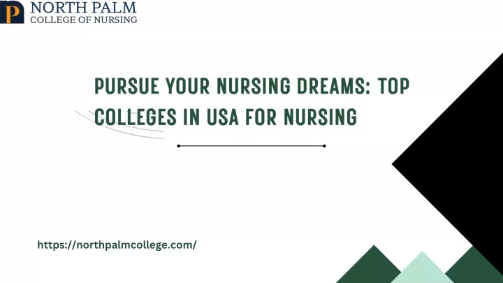 pursue your nursing dreams top colleges
