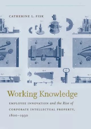 PDF/READ Working Knowledge: Employee Innovation and the Rise of Corporate I