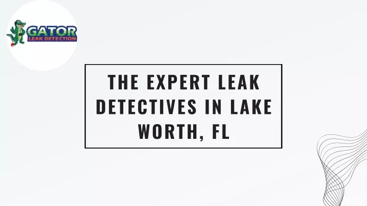 the expert leak detectives in lake worth fl