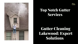 Gutter Cleaning Lakewood: Expert Solution