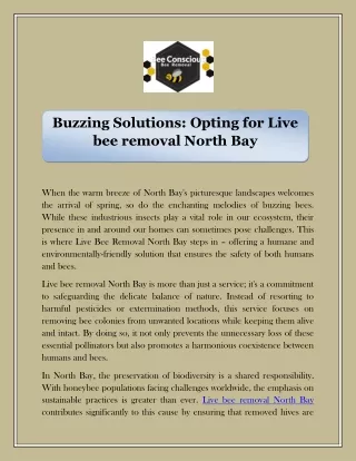 Buzzing Solutions: Opting for Live bee removal North Bay